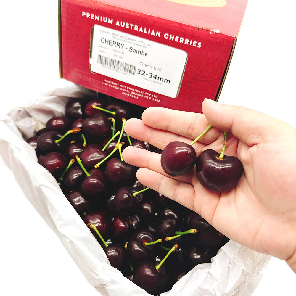 BiteRiot Samba Premium Cherries Gift Box 32-34mm - 2kg - Image 2