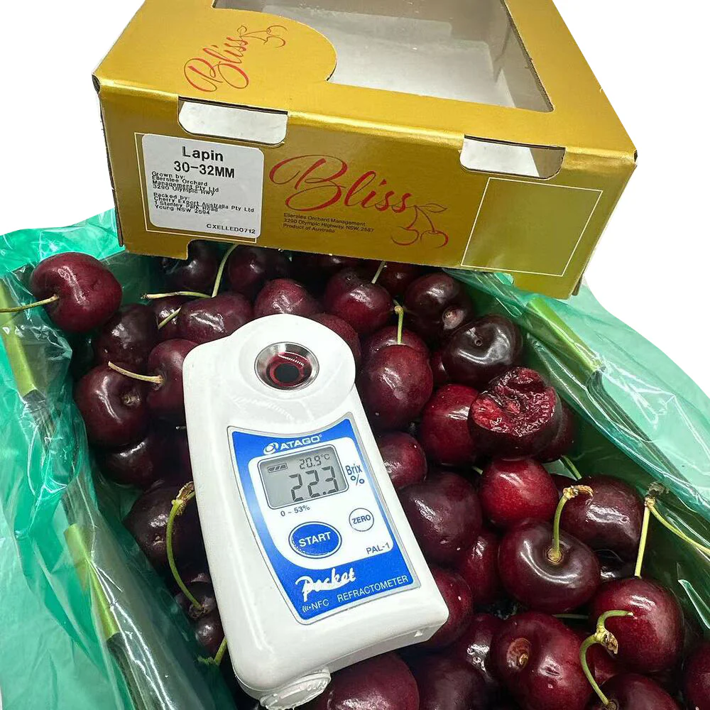 Bliss Fresh Lapin Cherries Gift Box 30–32mm – 1kg - Image 2