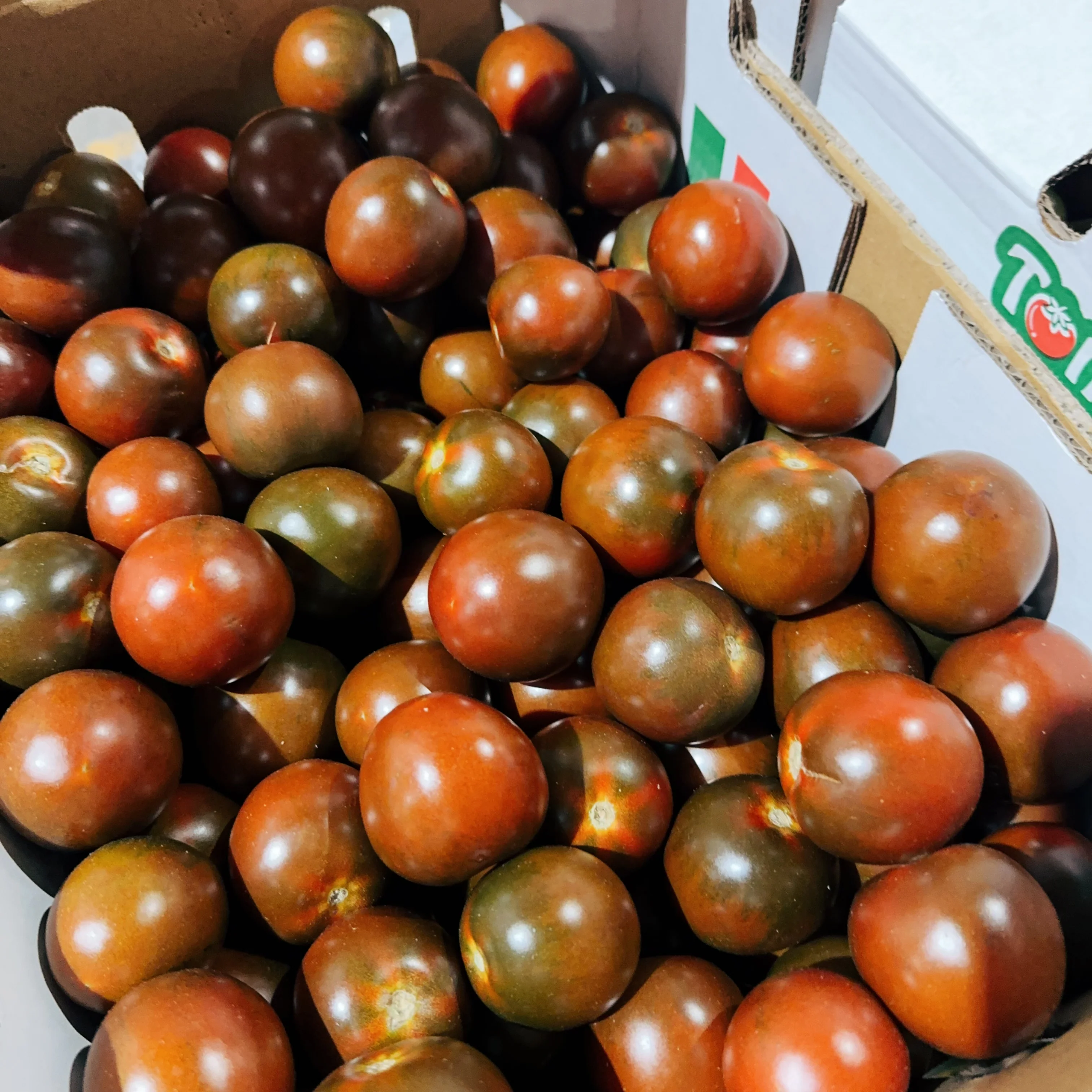 Blood Red Baby Tomatoes - Ready to Eat, 500g - Image 2