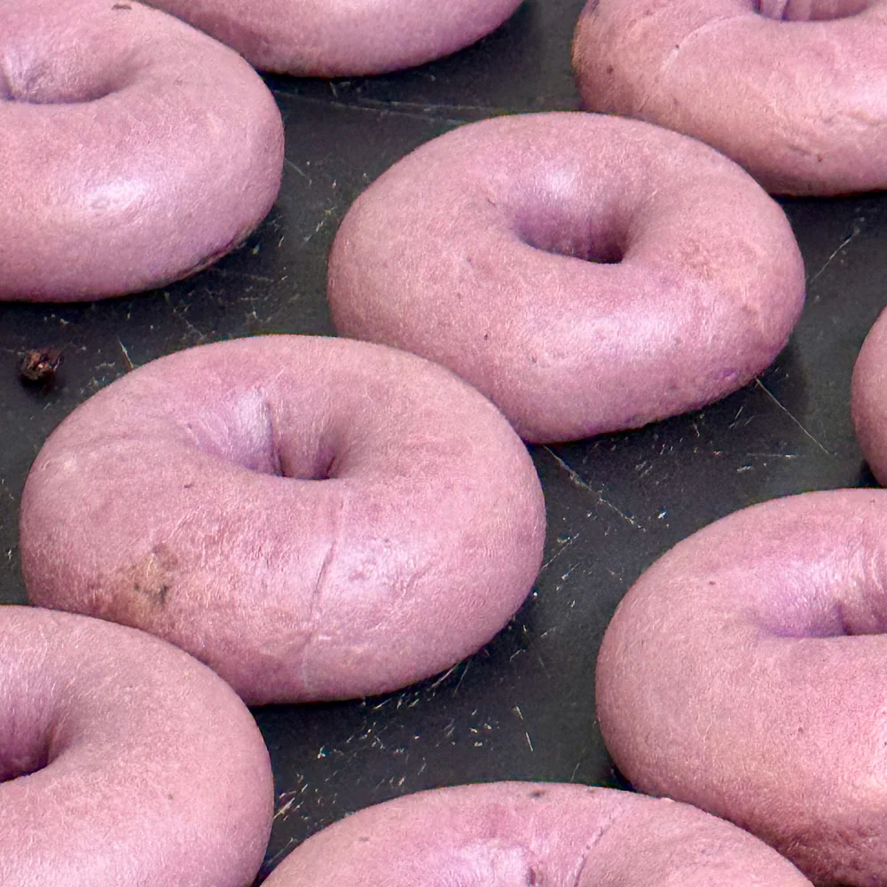 Blueberry Cream Cheese Bagel - 1 Piece - Image 2