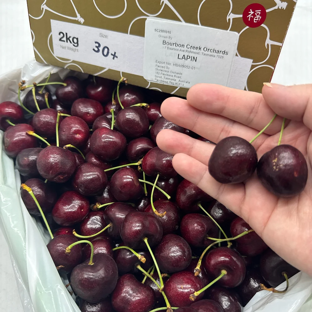 Bourbon Creek Lapin Cherries Gift Box 30mm+ - 2kg - Image 3