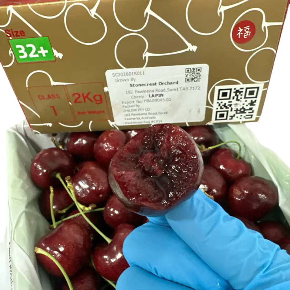Bourbon Creek Orchards Tasmanian Lapin Cherries Gift Box 32mm+ 2kg - Image 4