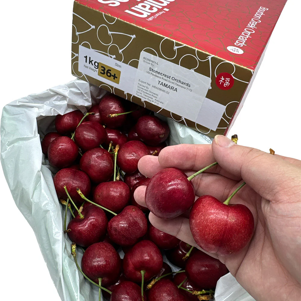 Bourbon Creek Tasmanian Cherries Gift Box 36mm+ - 1kg - Image 3