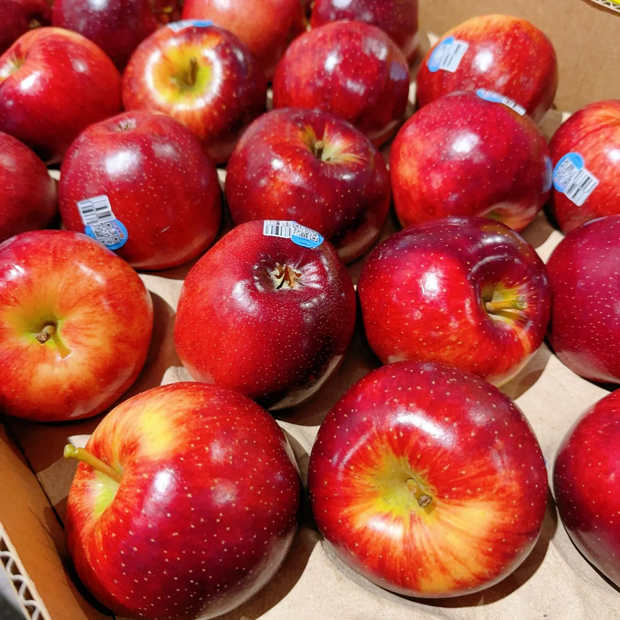 Bravo Apples - 1kg - Image 2