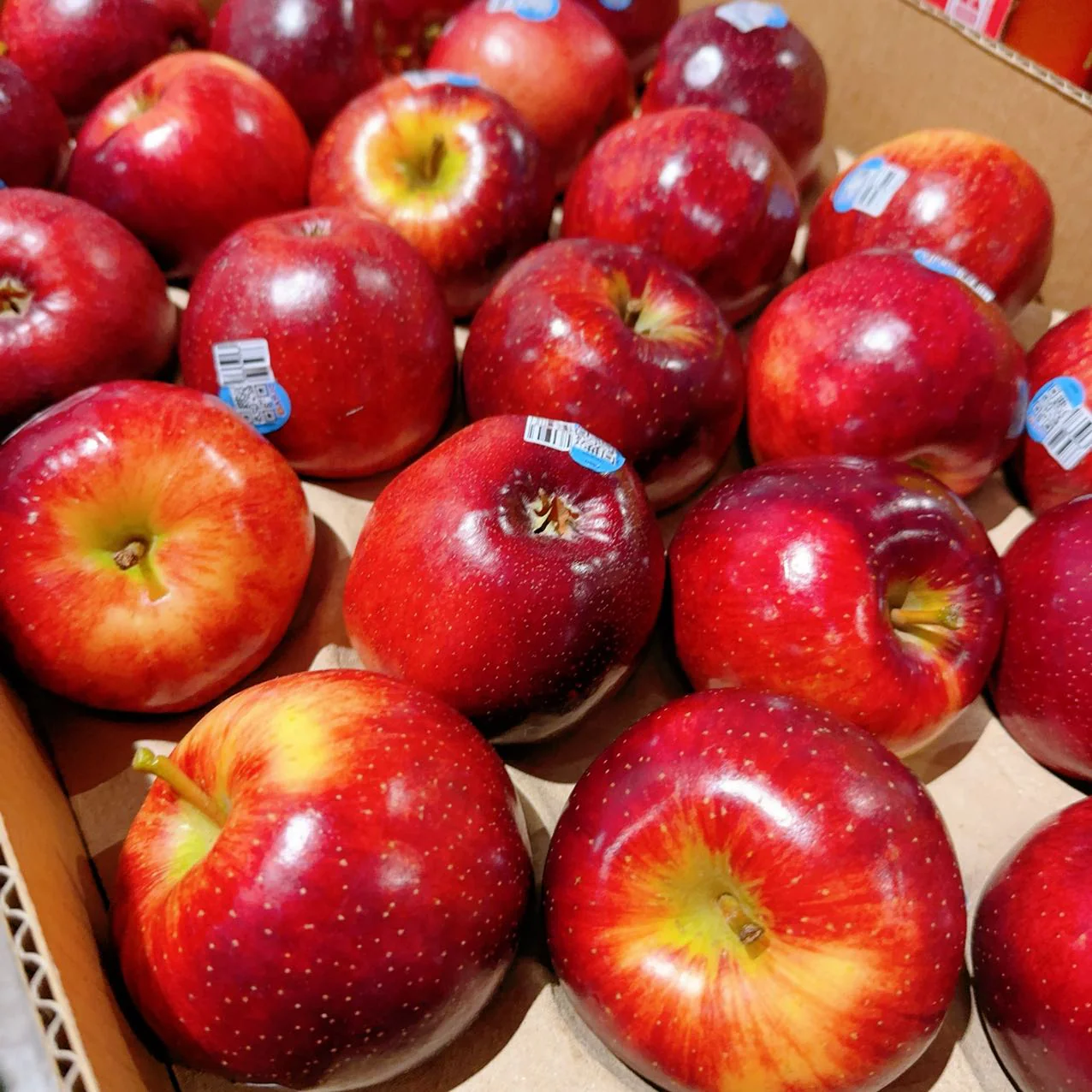 Bravo Apples - 1kg - Image 3