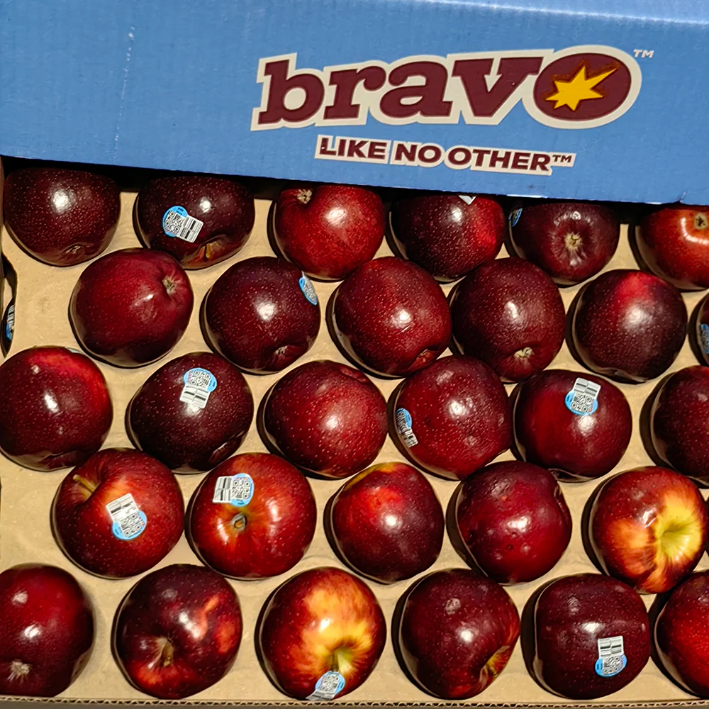 Bravo Apples - Box of 12kg - Image 3