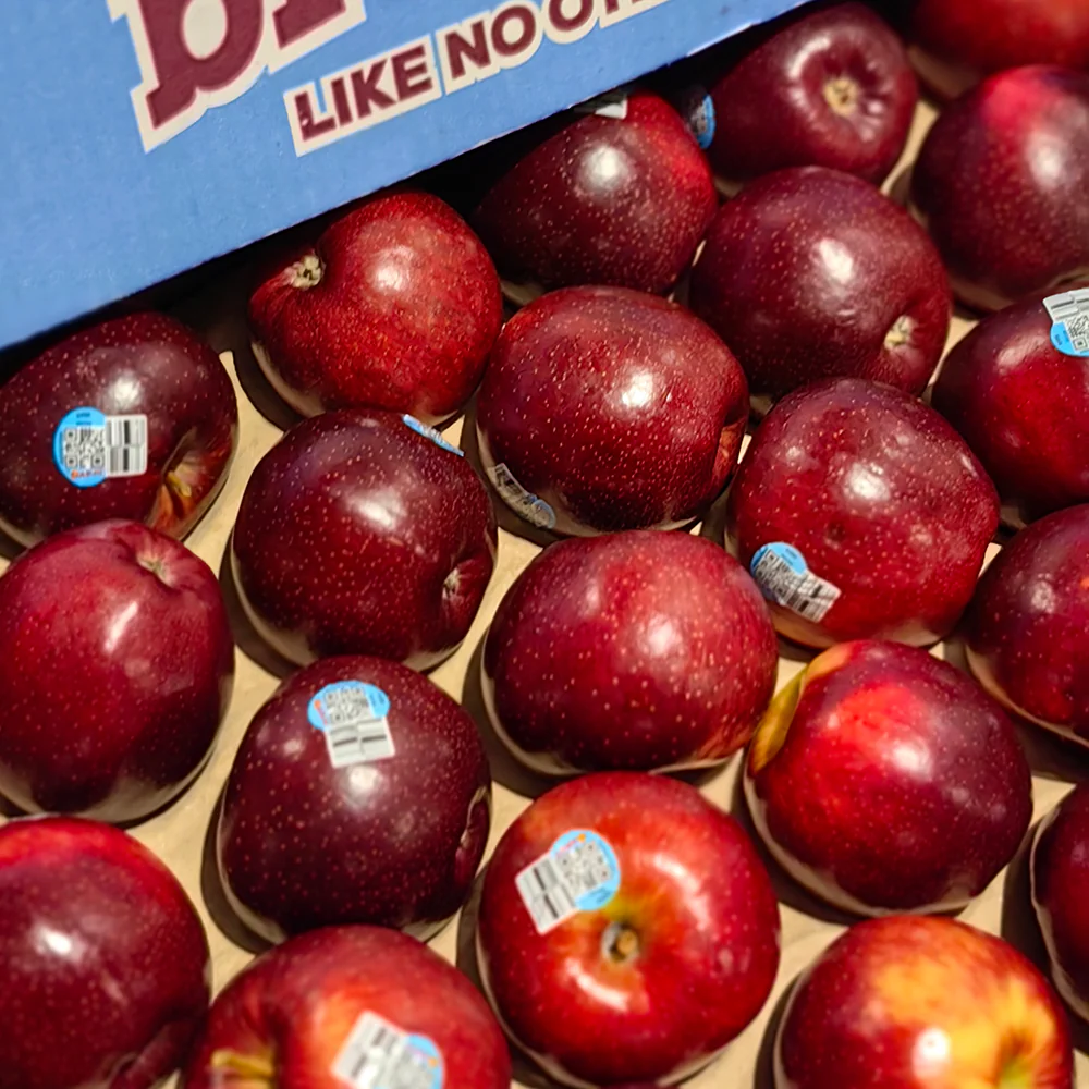 Bravo Apples - Box of 12kg - Image 4