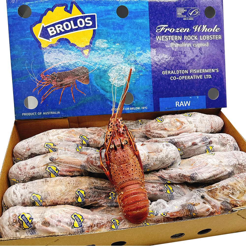 Brolos Frozen Whole Western Rock Lobster - 10kg Box (22-23 Pieces) - Image 5