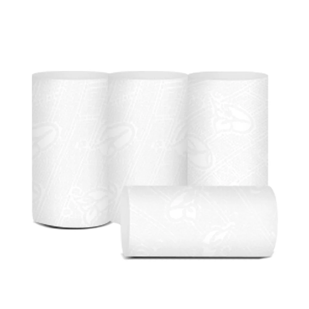 C&S Face4D Coreless Embossed Toilet Paper - 70g x 10 Rolls - Image 3