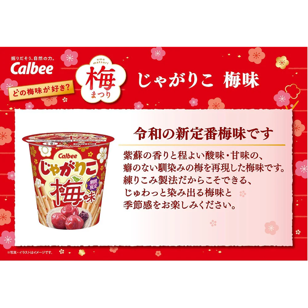 Calbee Jagarico Ume Plum Potato Sticks Cup 52g – Limited Edition Tangy Japanese Snack - Image 3