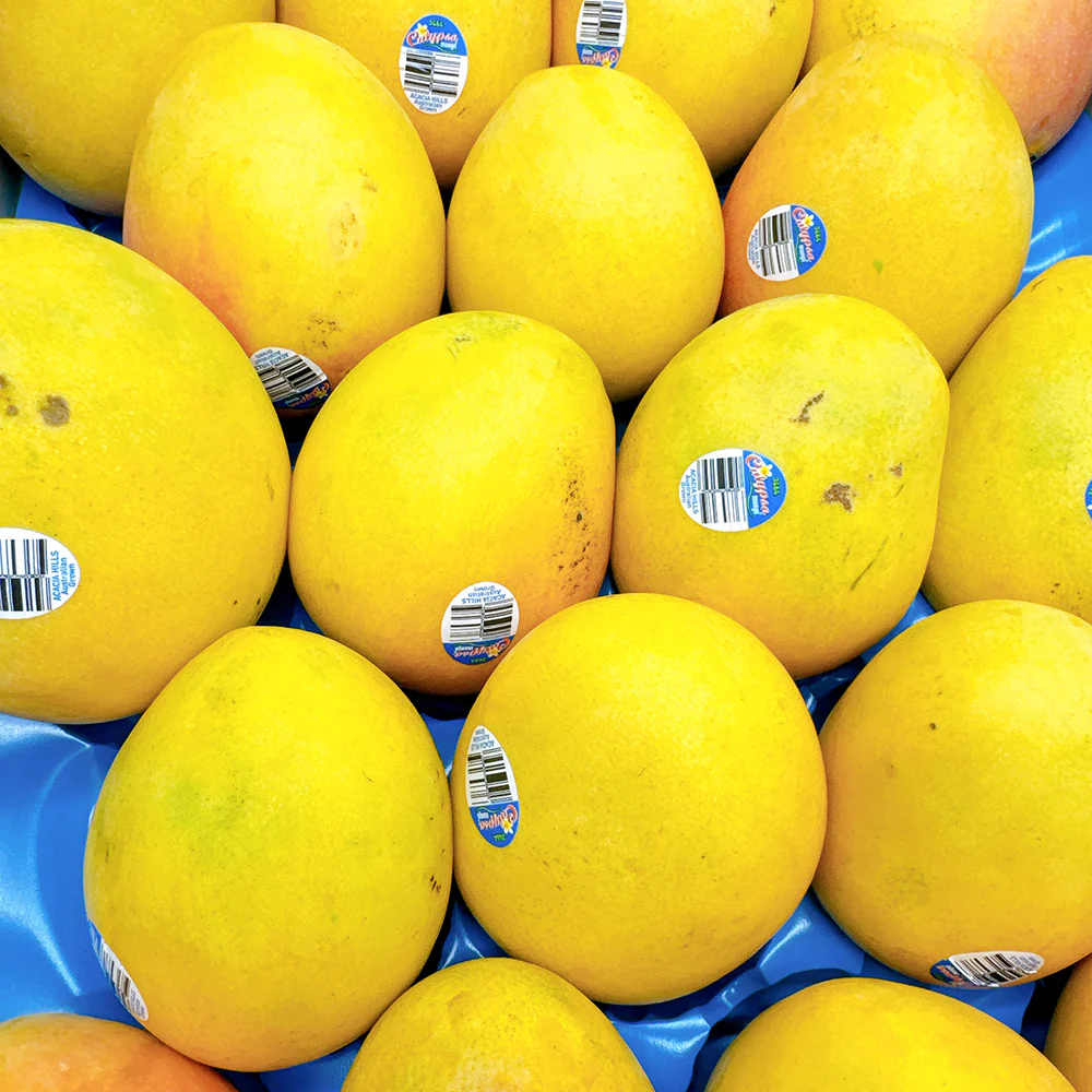 Calypso Mangoes - Medium, 2 Pieces - Image 2