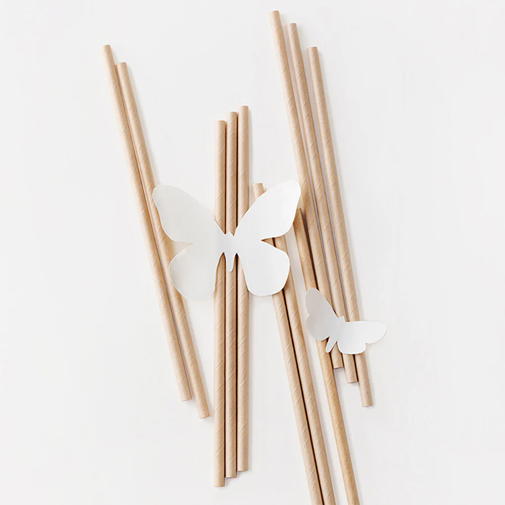 Camellia Natural Colour Paper Straws, Straight, Pack of 50