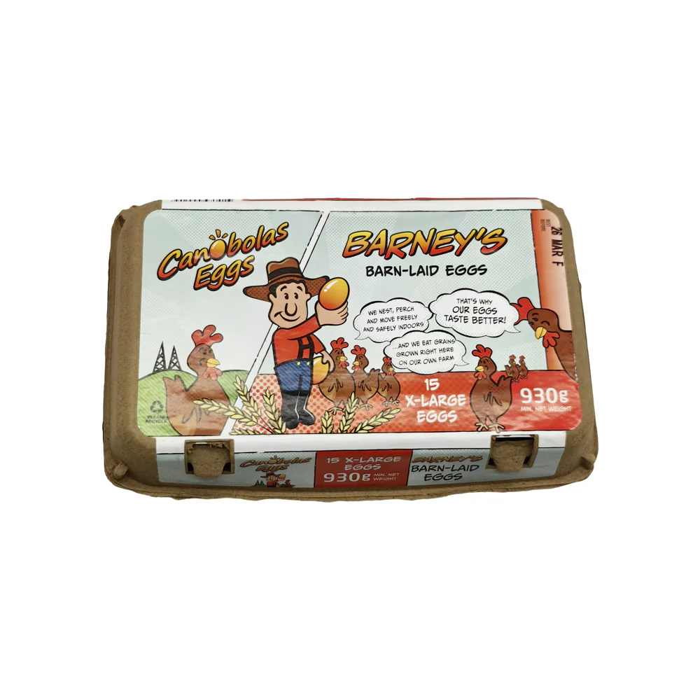Canobolas Barn-Laid X-Large Eggs - 15 Pieces, 930g - Image 2