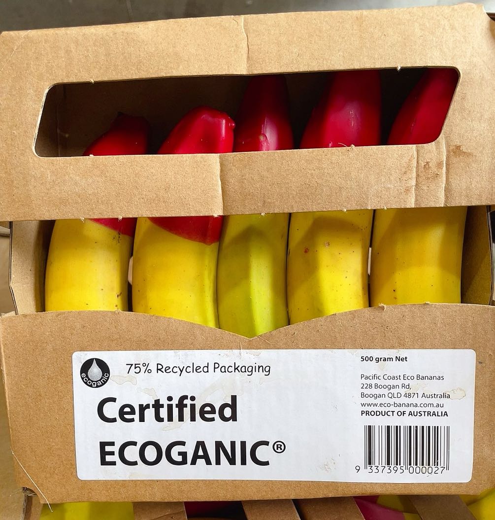 Eco Bananas Certified Ecoganic Baby Bananas – 500g Pack - Lady Finger Bananas - Image 2
