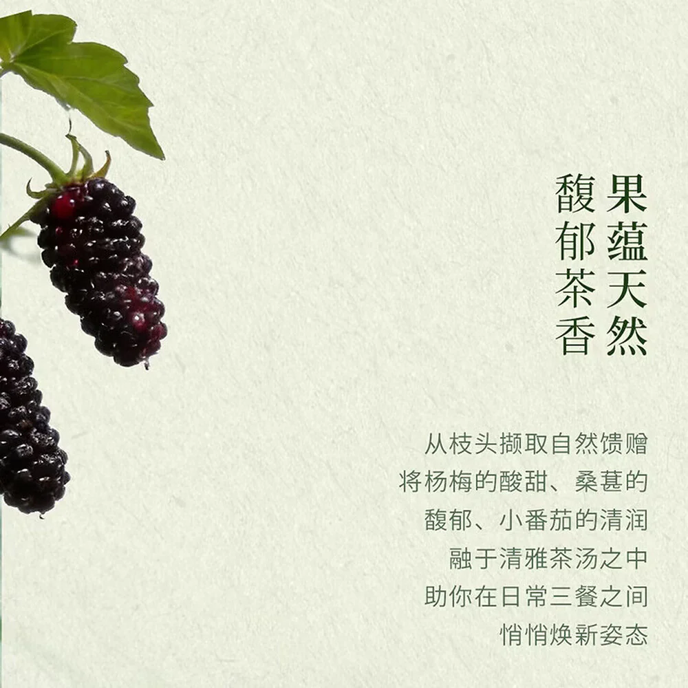 Cha Xiaokai Light Fruit & Veggie Tea Drink – Bayberry, Mulberry & Cherry Tomato 450ml - Image 4