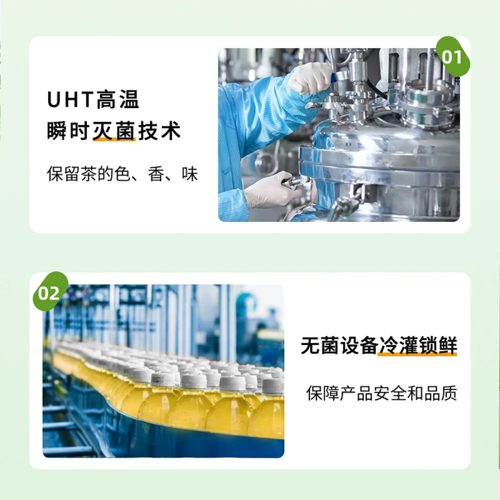 Cha Xiaokai Unsweetened Longjing (Dragon Well) Green Tea – Ready-to-Drink 500ml - Image 3