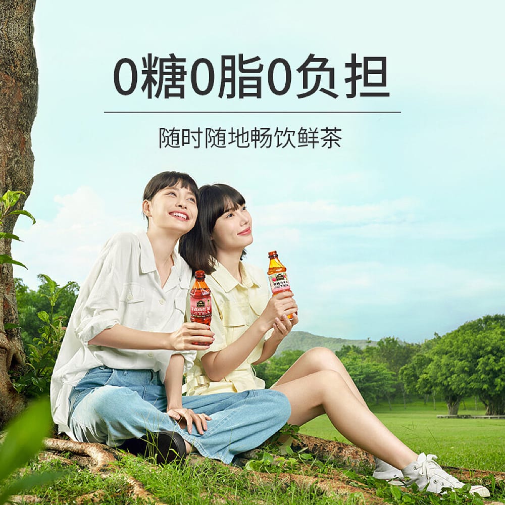 Chali Fujian High Mountain Black Tea, Zero Sugar, Zero Fat - 390ml - Image 2
