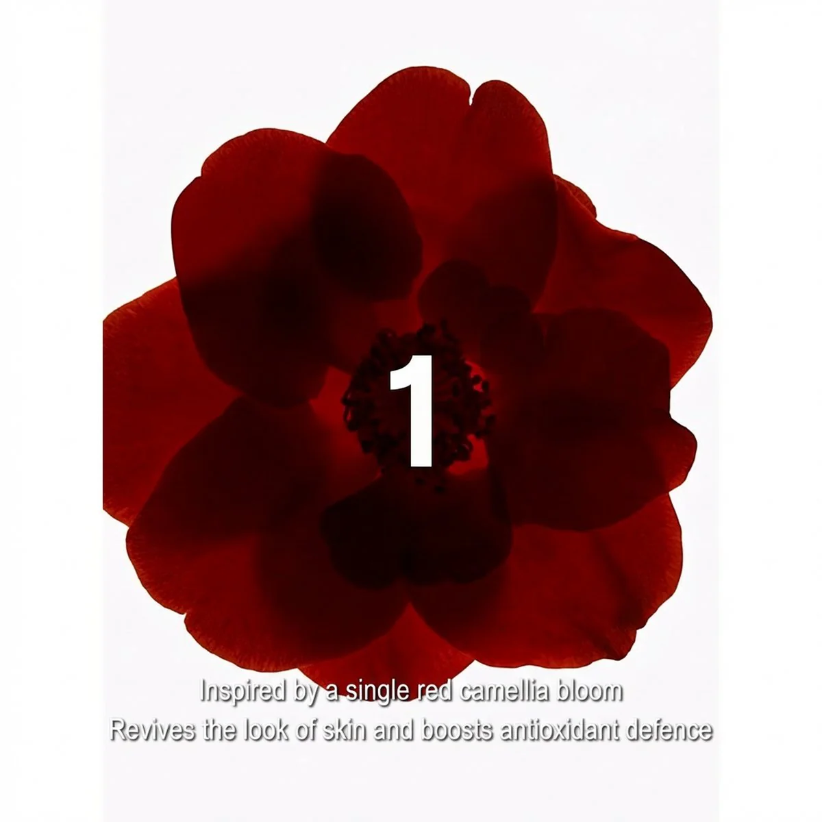 CHANEL N°1 Red Camellia Revitalising Serum 50ml - Image 2