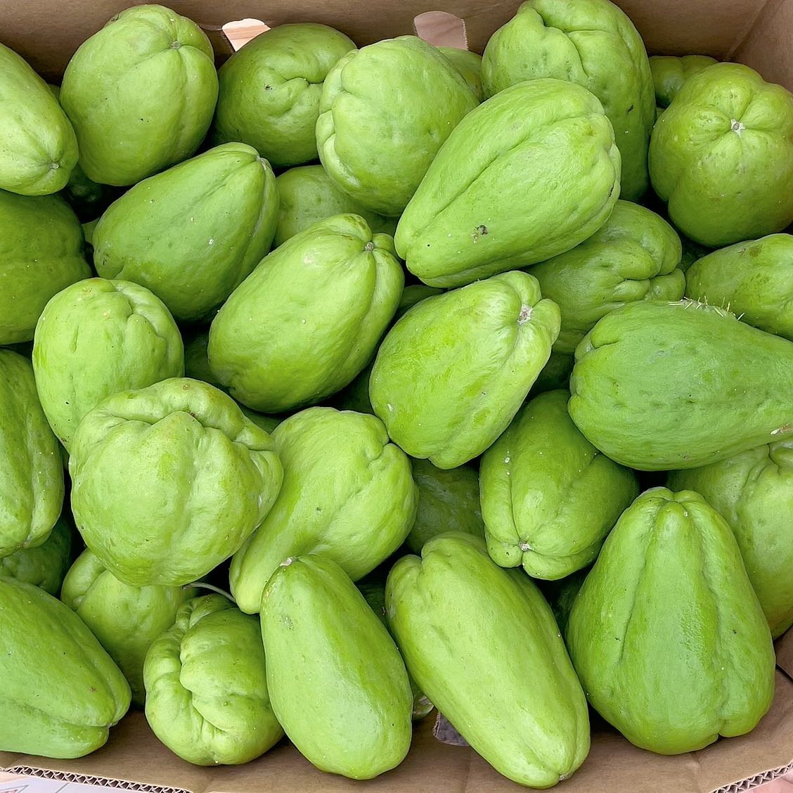 Chayote - 0.9kg - Image 2