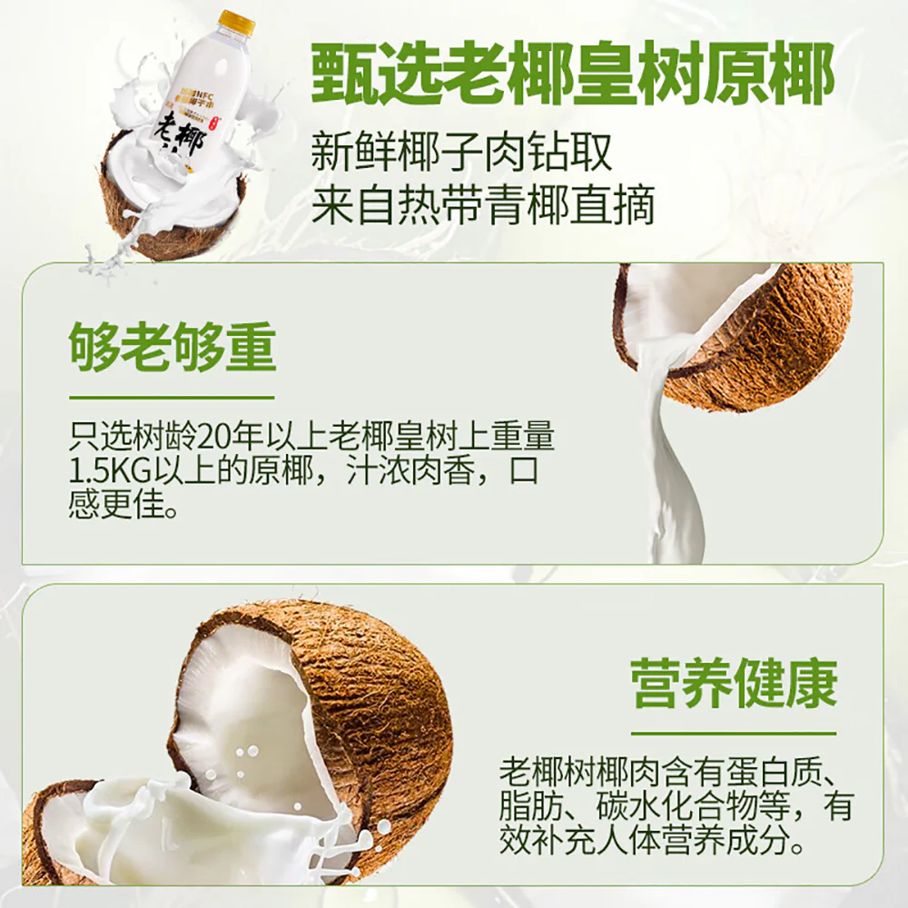 Chengyangji Hainan Old Coconut Juice 1L - Image 2