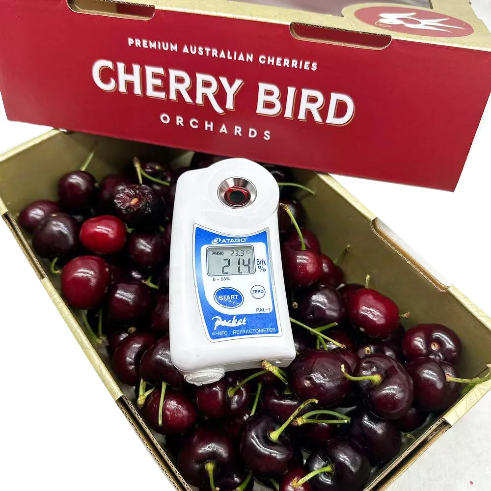 Cherry Bird Santina Cherries Gift Box 28–30mm – 1kg - Image 2