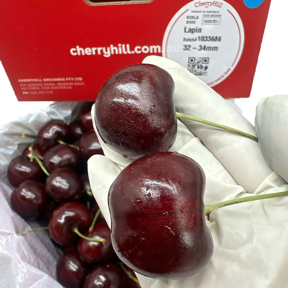 CherryHill Lapin Cherries Gift Box 2kg – Premium Large 32–34mm - Image 3