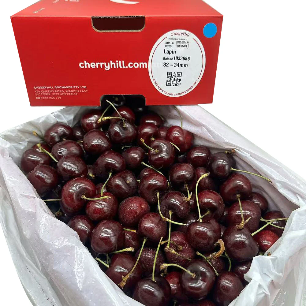 CherryHill Lapin Cherries Gift Box 2kg – Premium Large 32–34mm - Image 5