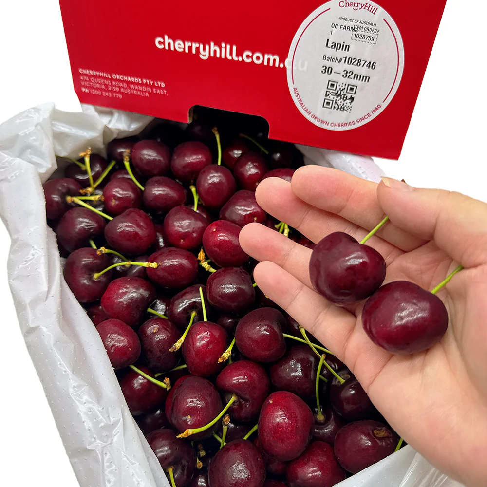 CherryHill Lapin Cherries Gift Box 30-32mm - 2kg - Image 2