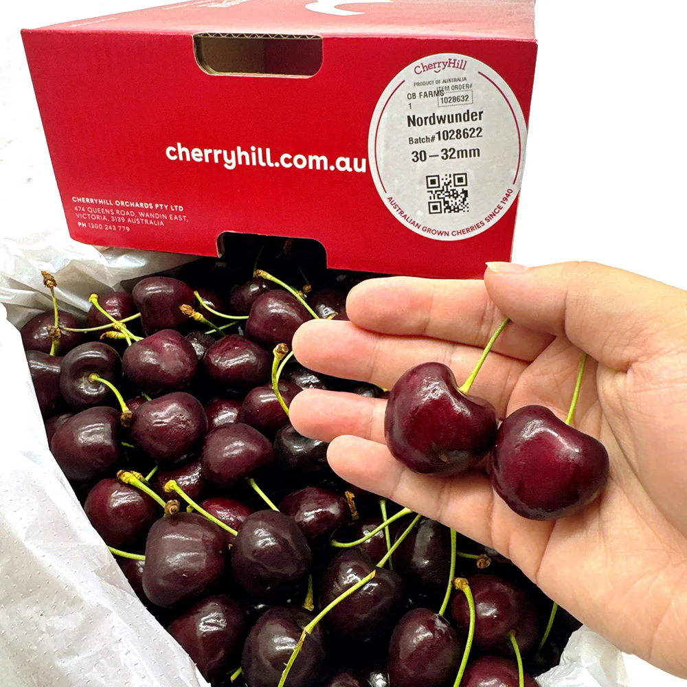 CherryHill Nordwunder Cherries Gift Box 30-32mm - 2kg - Image 2