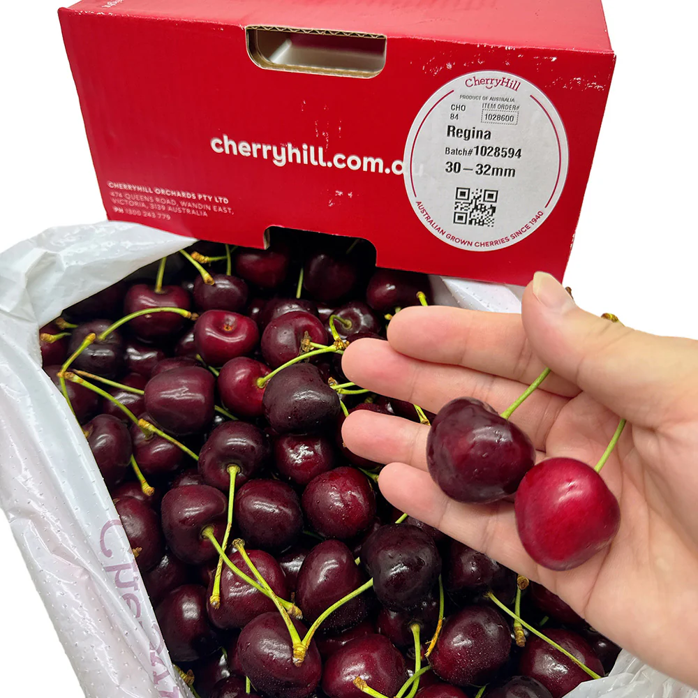 CherryHill Regina Cherries Gift Box 30-32mm - 2kg - Image 3