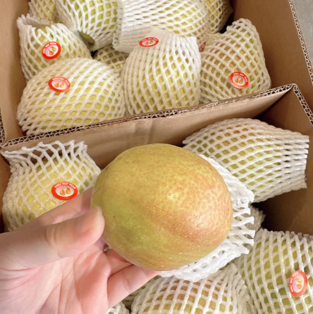 Chinese Imported Korla Fragrant Pears - Box of 7kg - Image 4