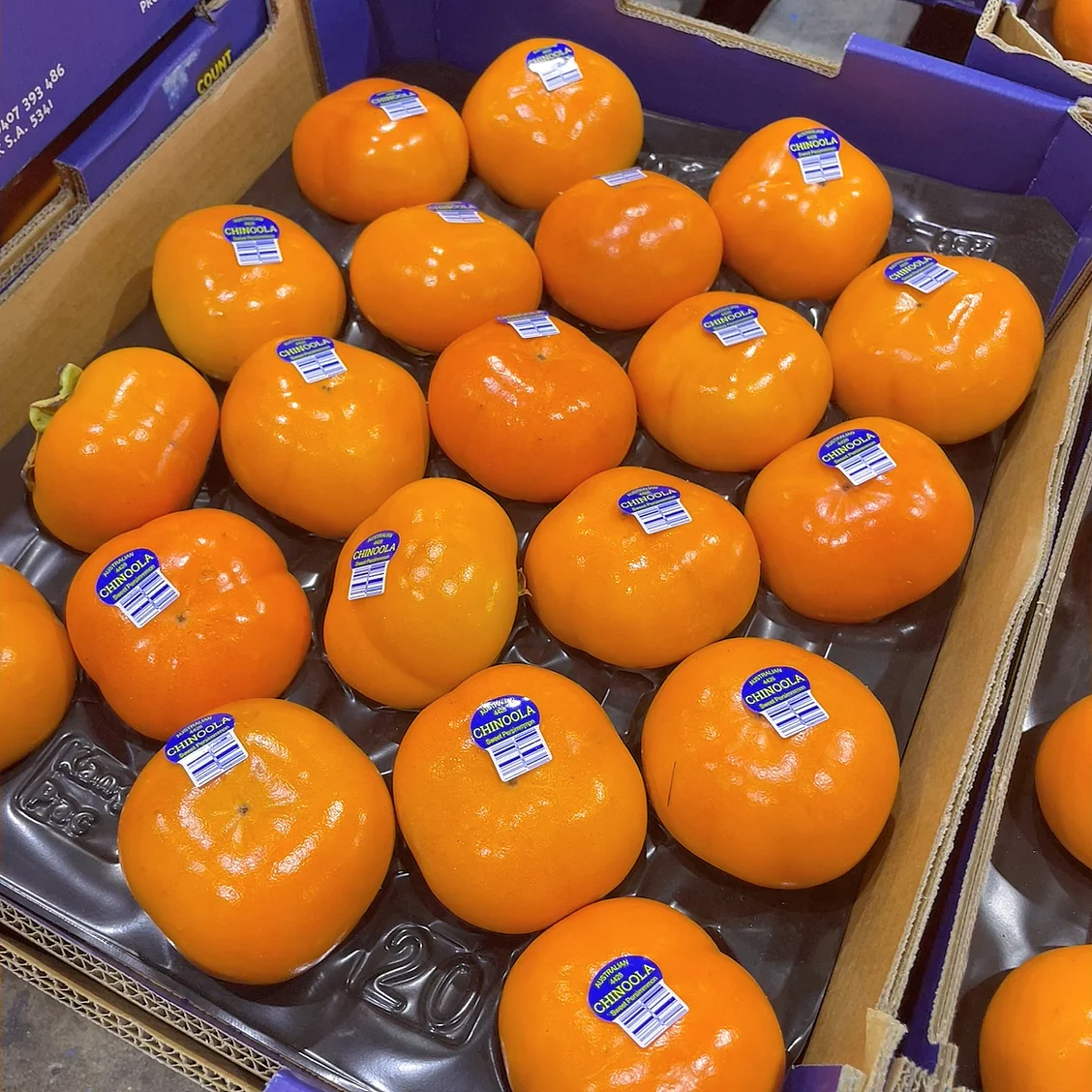 Chinoola Premium Firm Sweet Persimmons - 4 Pieces - Image 2