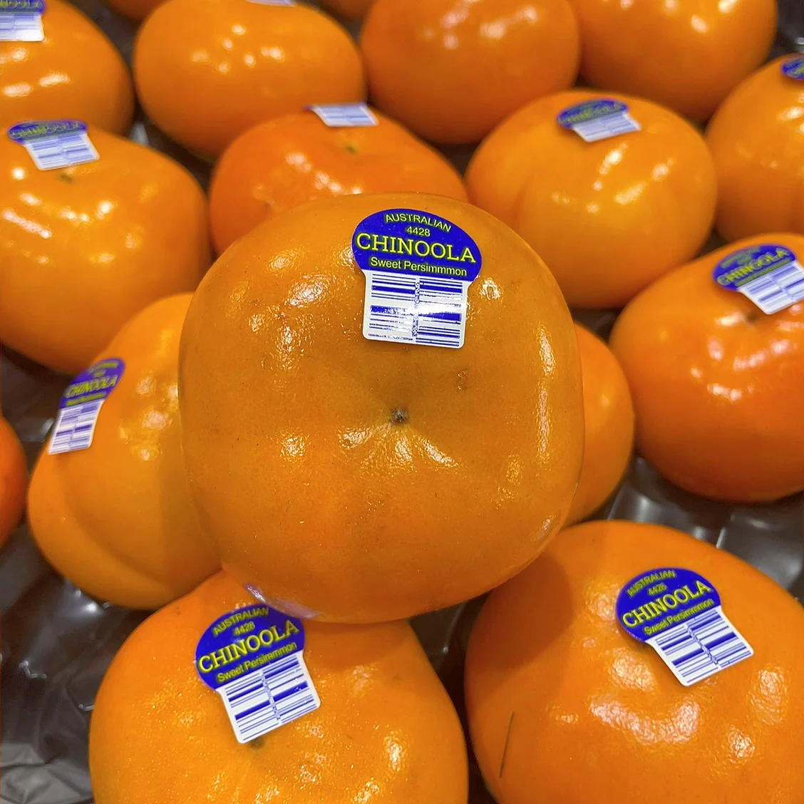 Chinoola Premium Firm Sweet Persimmons - 4 Pieces - Image 3