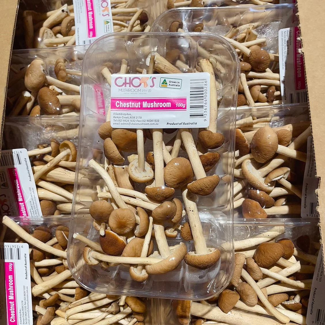 Chois Chestnut Mushrooms - 1 Box - Image 2
