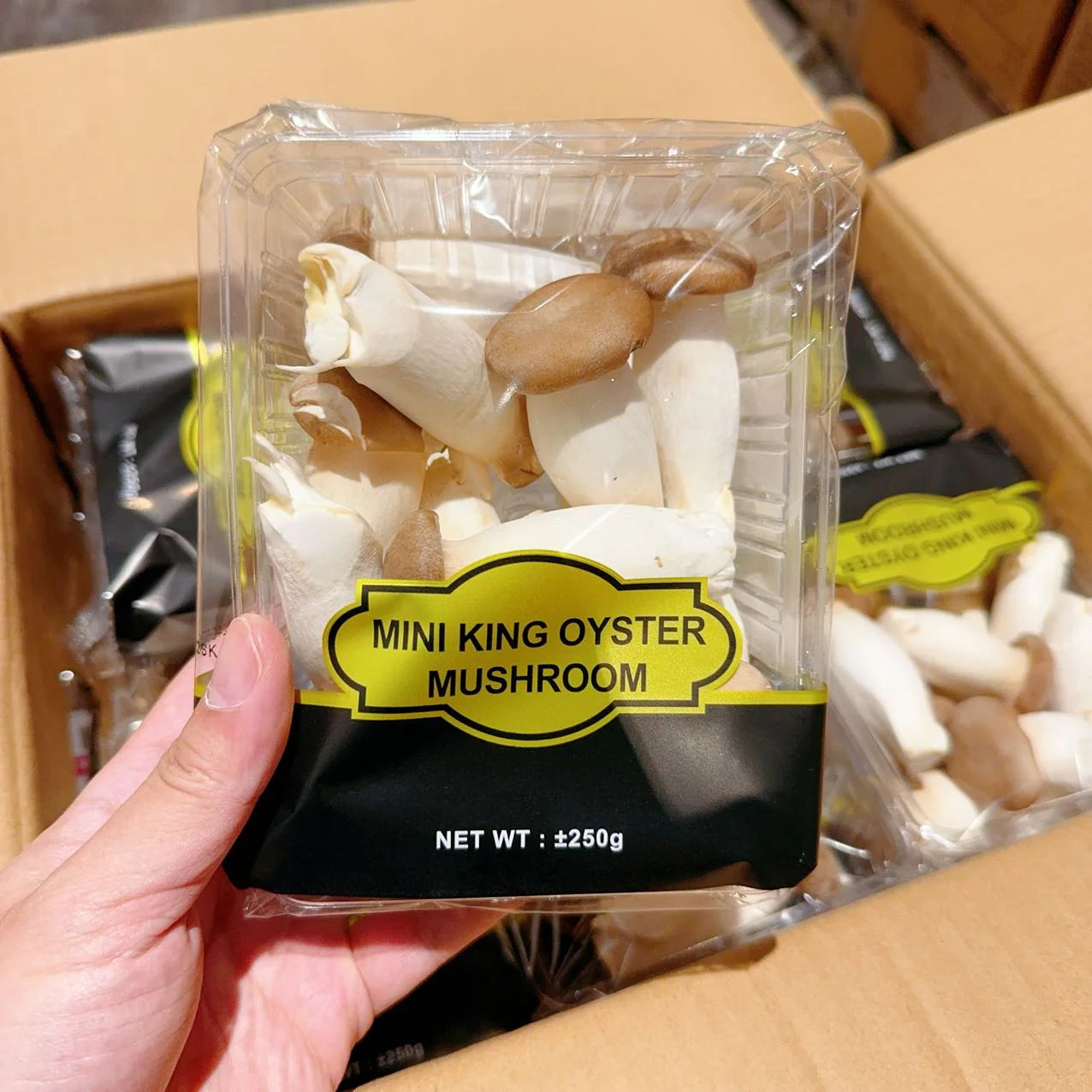 Chois Mini King Oyster Mushrooms - 400g - Image 2