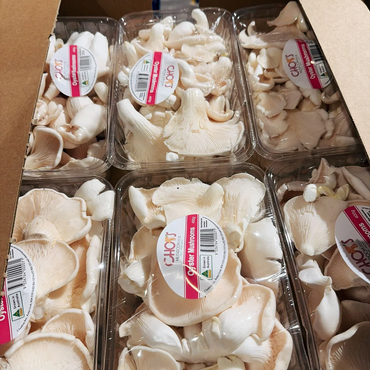 Chois Oyster Mushrooms - 400g - Image 3