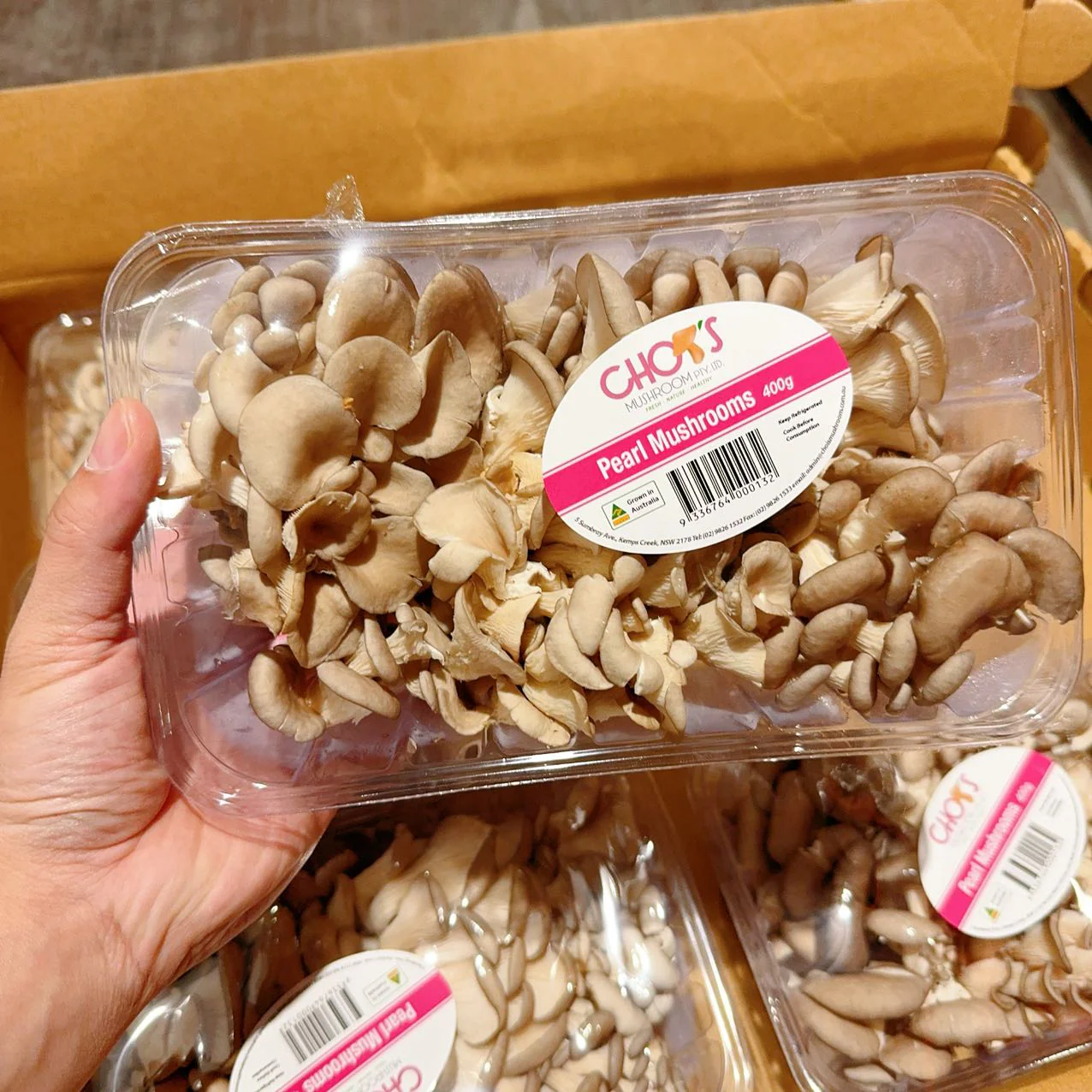 Chois Pearl Mushrooms - 400g - Image 3