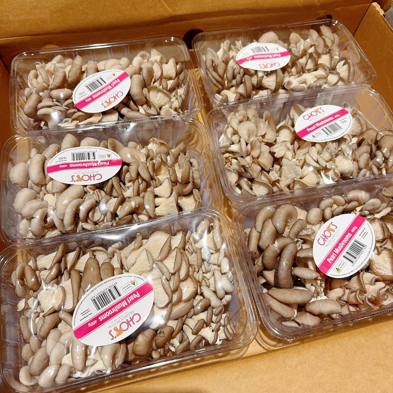 Chois Pearl Mushrooms - 400g - Image 4