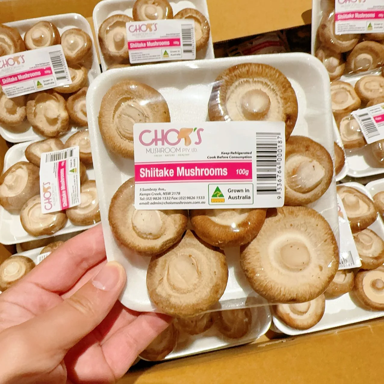 Chois Shiitake Mushrooms - 100g - Image 3