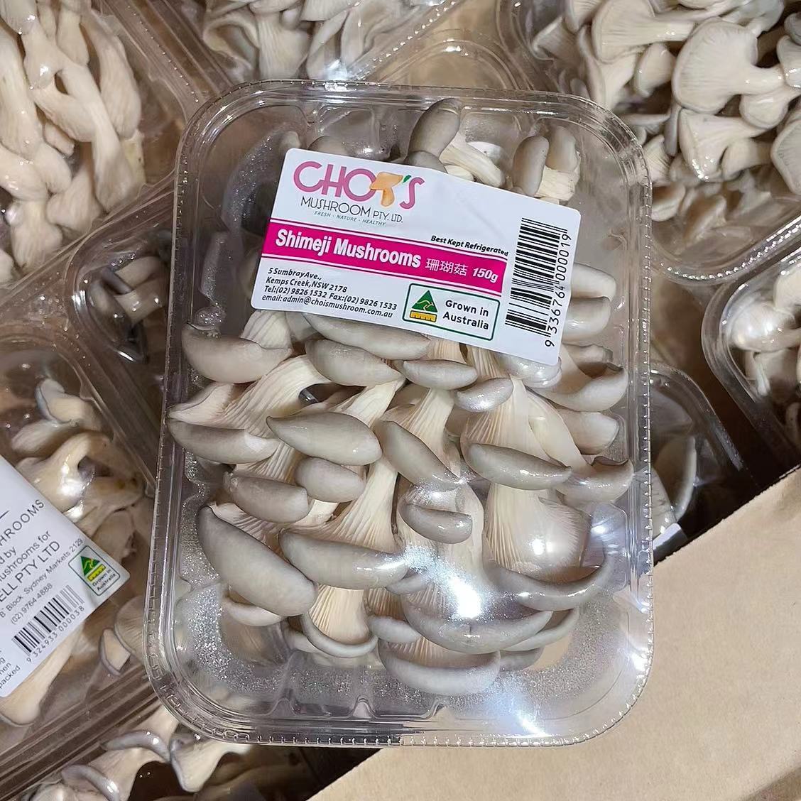 Chois Shimeji Mushrooms - 150g - Image 3