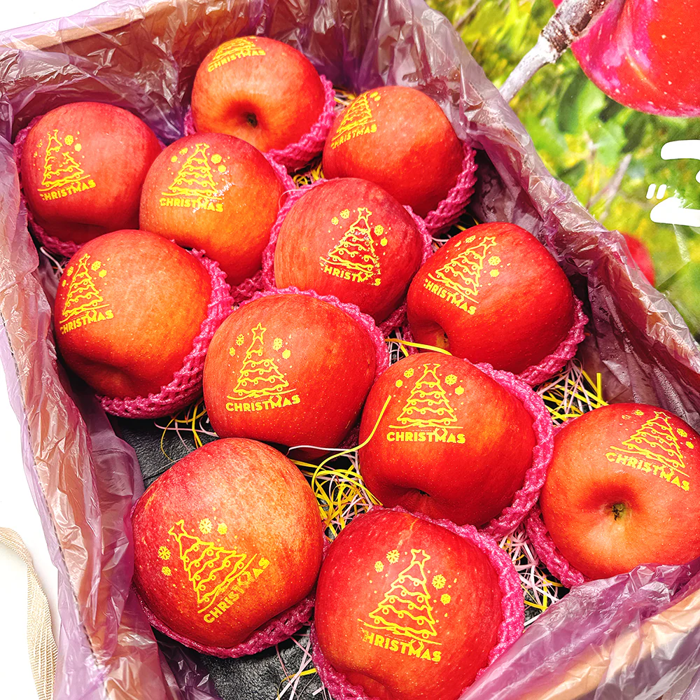 Christmas Edition Fuji Apples - Box of 12, 4.5kg - Image 2