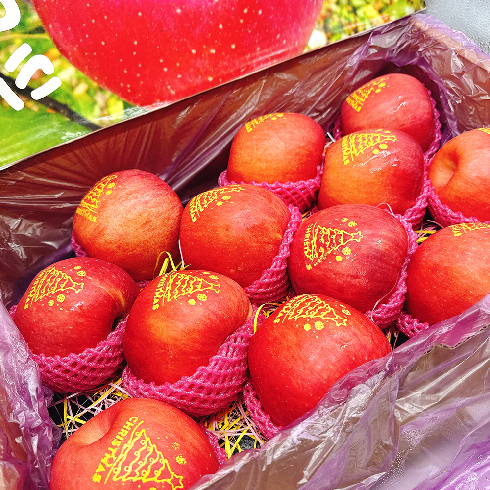 Christmas Edition Fuji Apples - Box of 12, 4.5kg - Image 3