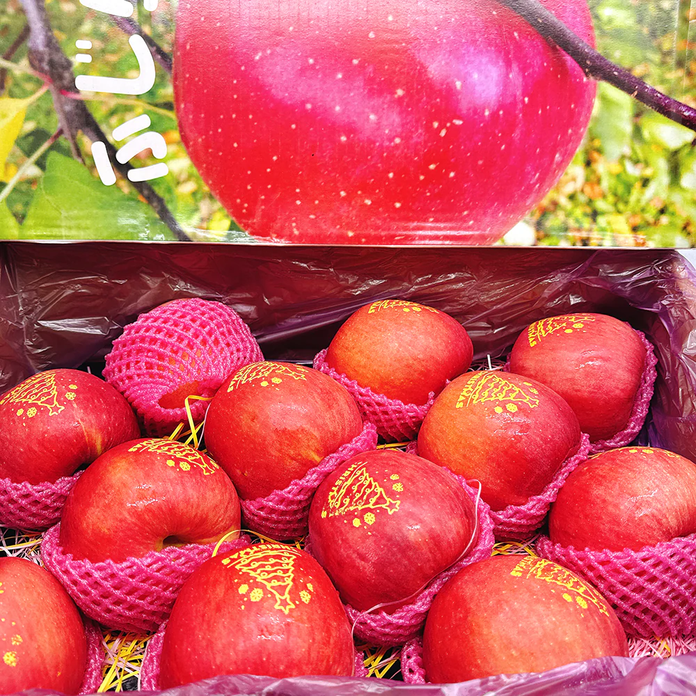 Christmas Edition Fuji Apples - Box of 12, 4.5kg - Image 4