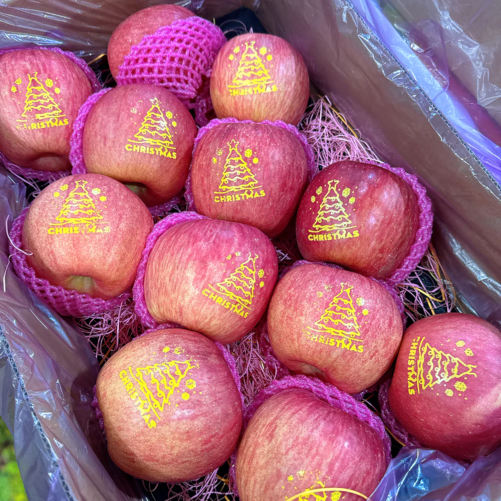 Christmas Edition Fuji Apples - Box of 12, 4.5kg - Image 5