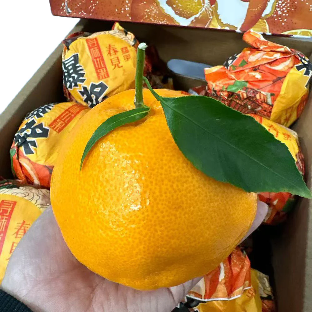 Chun Jian Ponkan Mandarins Gift Box 3.5kg – Air-Freighted from China - Image 3