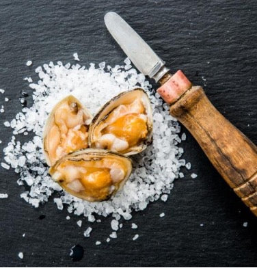 Cloudy Bay Diamond Shell Clams – New Zealand Surf Clams 1kg - Image 2