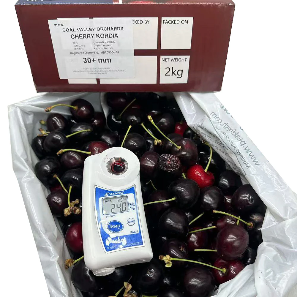 Coal Valley Orchards Tasmanian Kordia Cherries 2kg Gift Box - 30+mm - Image 2