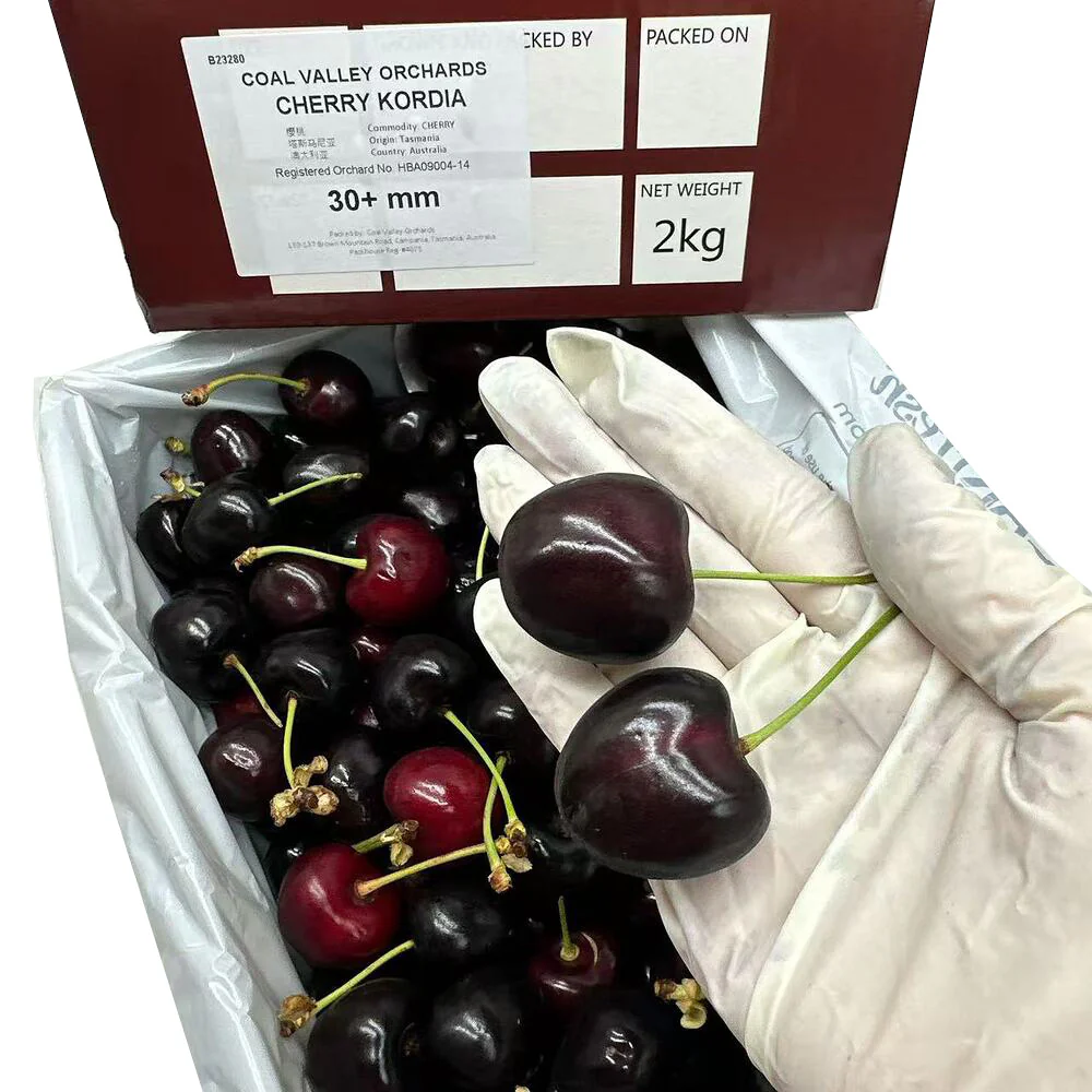 Coal Valley Orchards Tasmanian Kordia Cherries 2kg Gift Box - 30+mm - Image 3