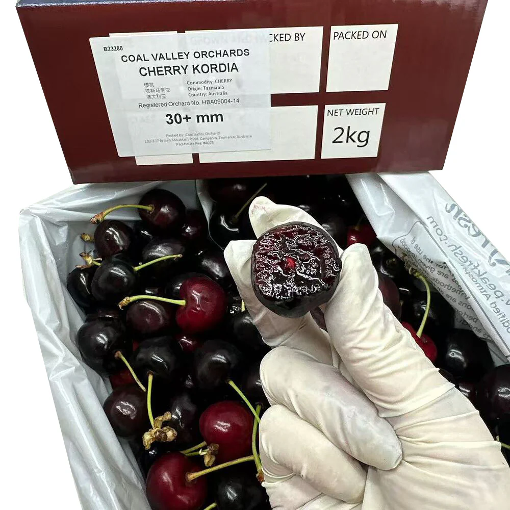 Coal Valley Orchards Tasmanian Kordia Cherries 2kg Gift Box - 30+mm - Image 4