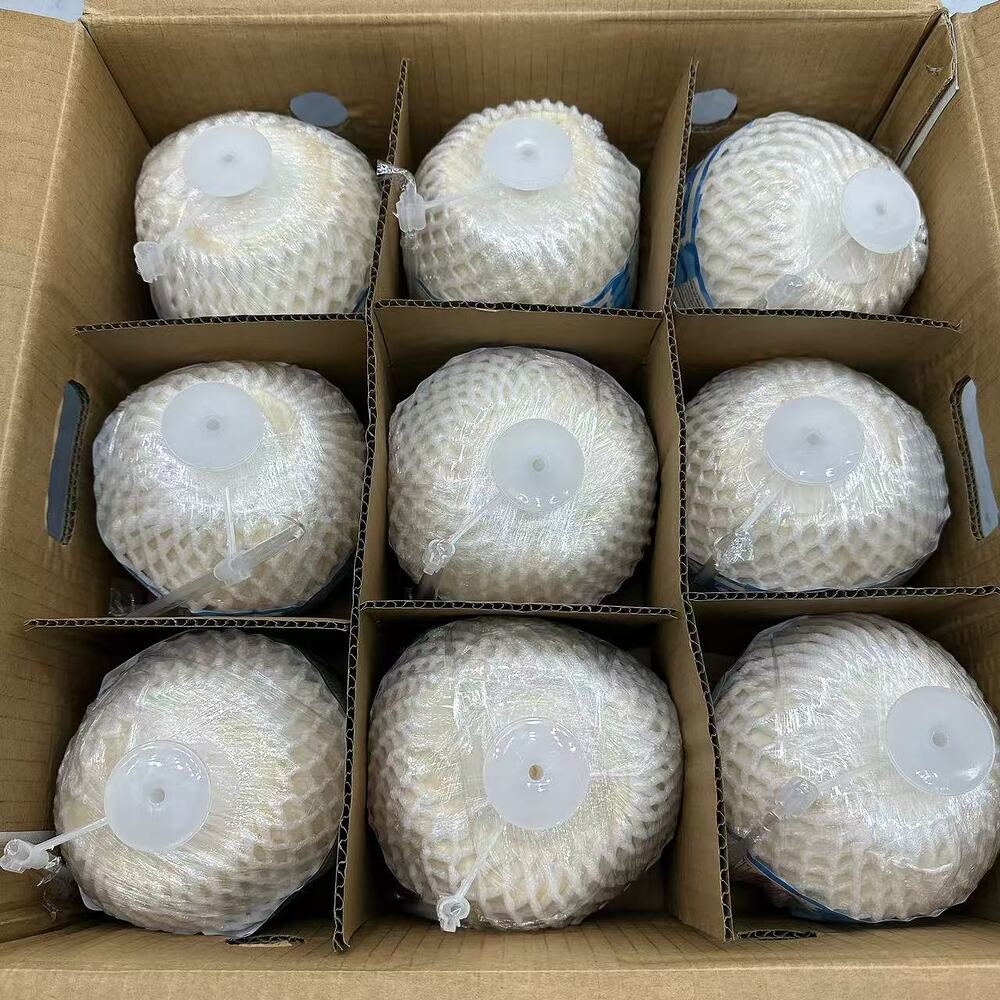 Coco Press Premium Easy-Open Young Coconuts (Large) – Box of 9 - Image 2